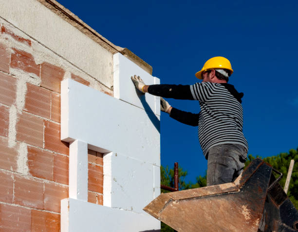 Best Residential Insulation in Maplewood, MO