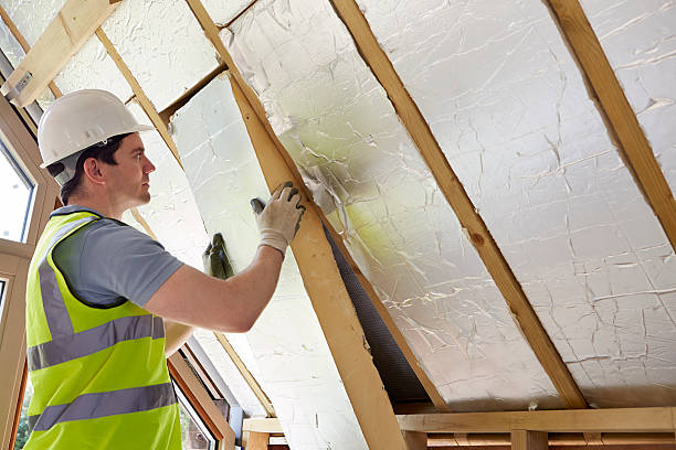 Best Commercial Insulation in Maplewood, MO
